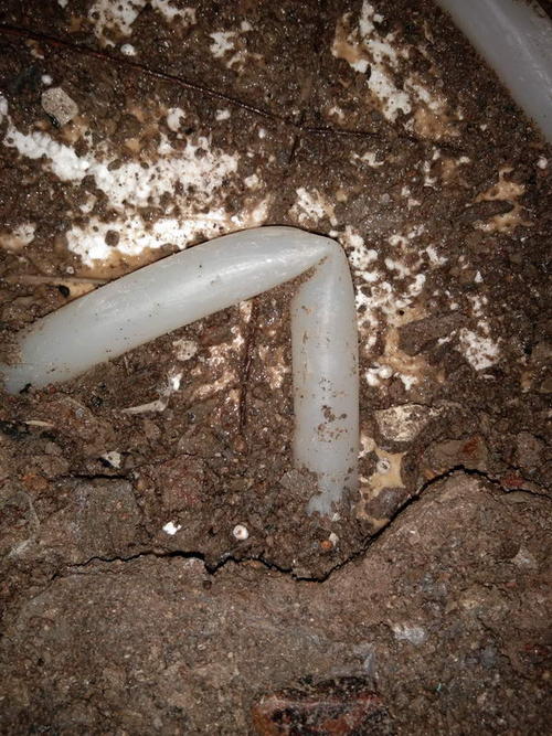 温岭堵点精准查找